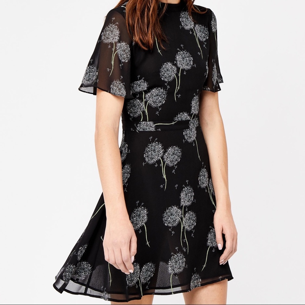 Dandelion Print Mini Skater Dress